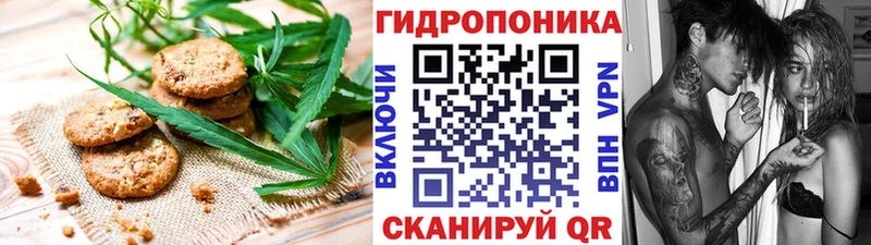 Cannafood конопля  Балашиха 