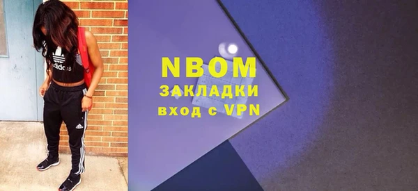 шишки Арсеньев