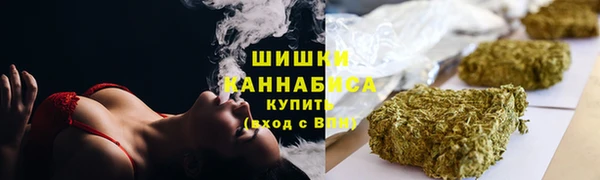 шишки Арсеньев
