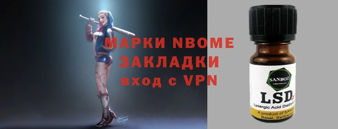 шишки Арсеньев