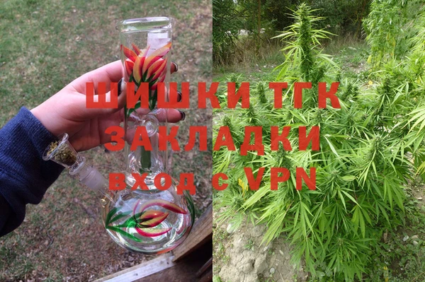шишки Арсеньев