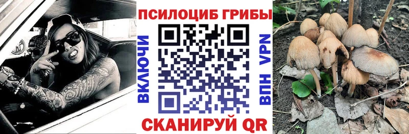 Галлюциногенные грибы GOLDEN TEACHER  даркнет сайт  Балашиха 